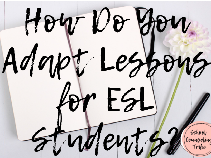 How Do You Adapt Lessons for ESL Students?