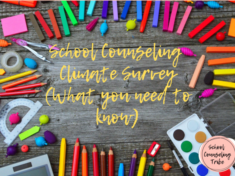 School Counseling Climate&nbsp;Survey